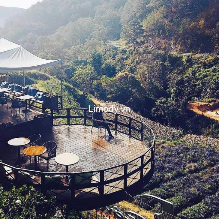 khám phá, trải nghiệm, top 20 quán cafe đà lạt view đẹp decor xinh thích hợp sống ảo nhất