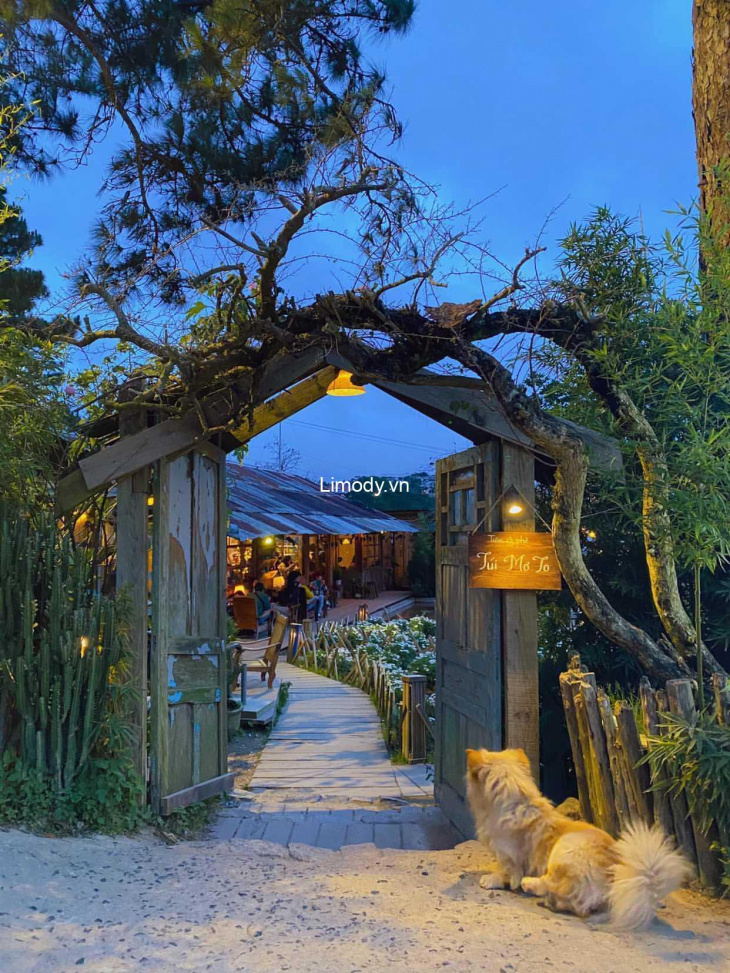 khám phá, trải nghiệm, top 20 quán cafe đà lạt view đẹp decor xinh thích hợp sống ảo nhất