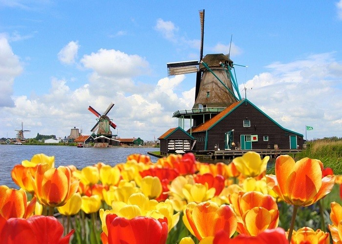 Những bí quyết cho tour du lịch Hà Lan trọn gói hiệu quả.