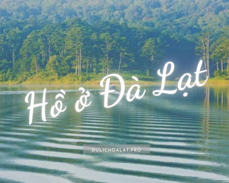 Top 5 Hồ ở Đà Lạt “sống ảo” đẹp mê ly mà bạn không nên bỏ qua