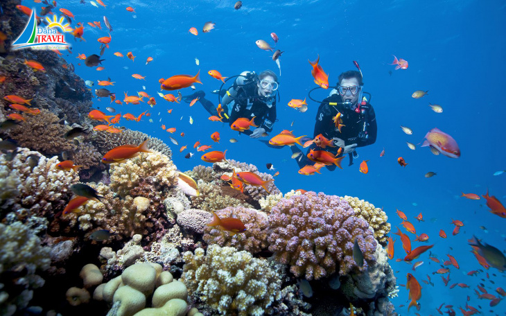 Kinh nghiệm lặn ngắm san hô tại Phú Quốc