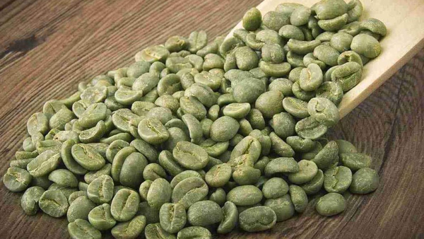 cà phê, quán cà phê, cà phê nhân xanh là gì? cách bảo quản hạt cà phê nhân xanh.