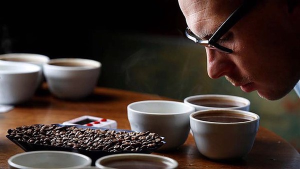 cà phê, quán cà phê, cách phân biệt cà phê nguyên chất chính xác nhất