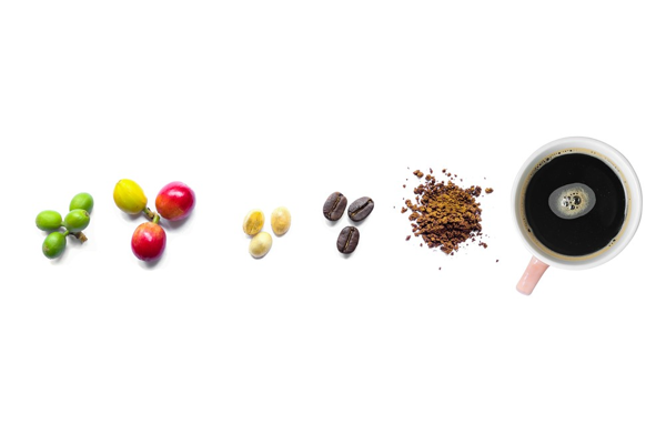 cà phê, quán cà phê, các loại hạt cà phê ngon nổi tiếng phổ biến được ưa chuộng ở việt nam
