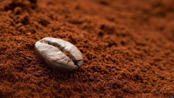 cà phê, quán cà phê, hướng dẫn cách bảo quản hạt cà phê thơm lâu hiệu quả tốt nhất
