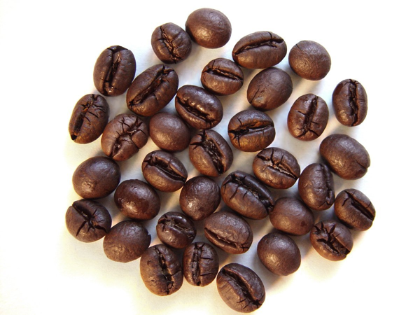 cà phê, quán cà phê, tìm hiểu cặn kẽ về hạt cà phê culi ở việt nam
