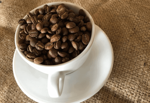 cà phê, quán cà phê, tìm hiểu cặn kẽ về hạt cà phê culi ở việt nam