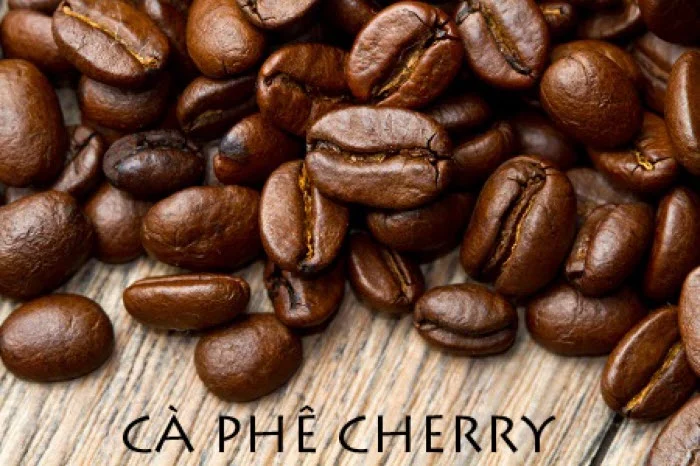 cà phê, cafe, những điều bạn chưa biết về hạt cà phê cherry quý hiếm
