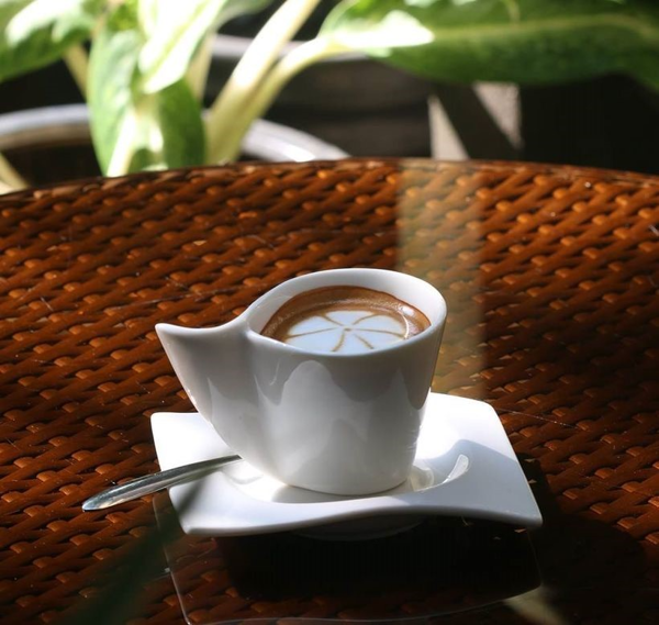 cà phê, quán cà phê, tổng hợp nơi bán cà phê rang mộc ngon  uy tín ở sài gòn