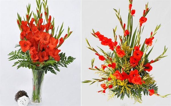 2 Cách Cắm Hoa Lay Ơn Nghệ Thuật Tuyệt Đẹp Chỉ Trong 5 Phút - Alongwalker