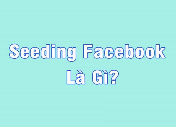 Seeding Facebook là gì? Phân loại và cách seeding Facebook hiệu quả