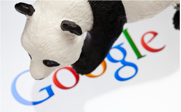 Những điều Seoer nên biết về google panda?