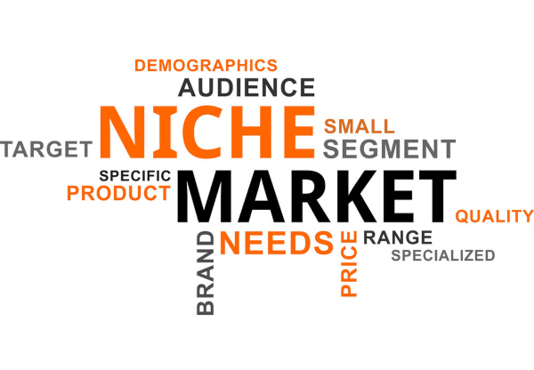 Thị trường ngách là gì? Tại sao doanh nghiệp cần khai thác Niche Market 