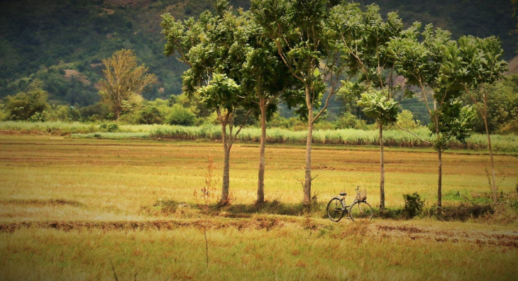 Phú Yên miền đón nắng đầu tiên trên đất liền Việt Nam