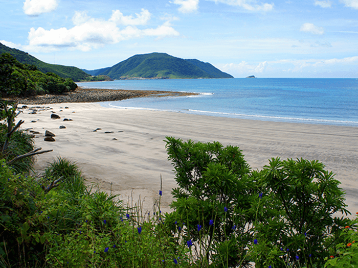 Top những bãi biển đẹp nhất Côn Đảo làm nao lòng bao du khách