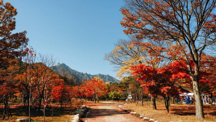 Cẩm nang du lịch Hàn Quốc tháng 11 – khúc giao mùa đầy mê hoặc