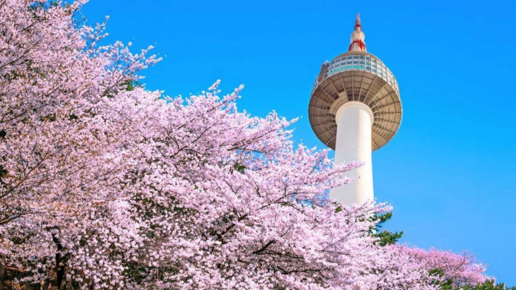hàn quốc, review chi tiết du lịch tháp namsan – biểu tượng của thủ đô seoul