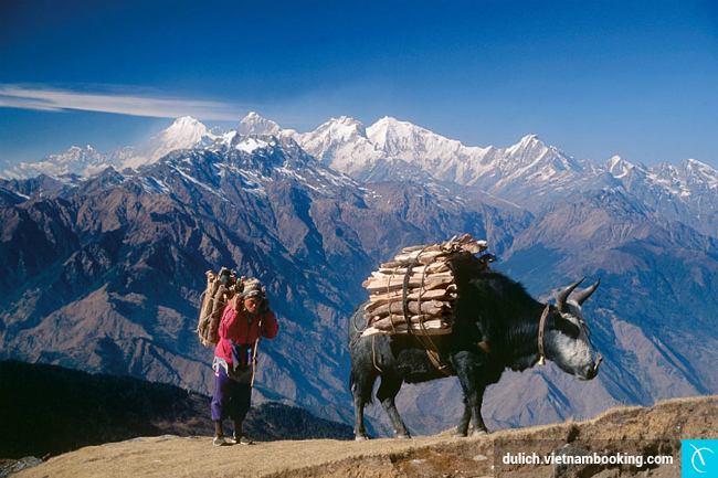 du lich nepal, du lich nepal gia re, tour du lich nepal, dat tour du lich nepal, tour du lich nepal gia re, khám phá, du lịch nepal