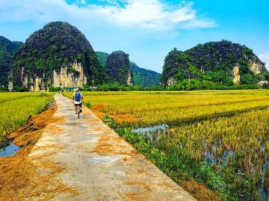 du lịch ninh bình, du lịch miền bắc, tour ninh bình, khám phá, ngỡ ngàng trước cảnh đẹp tràng an – tam cốc mùa lúa chín