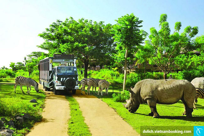 Tham quan ba vườn thú Safari bán hoang dã ở Việt Nam