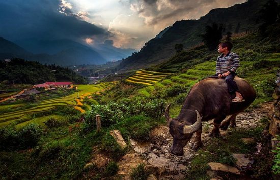 kinh nghiem di du lich sapa mua dong, du lich sapa ngam tuyet roi, du lich sapa mua dong, khám phá, tận hưởng cái lạnh ngọt ngào của sapa những ngày đầu đông