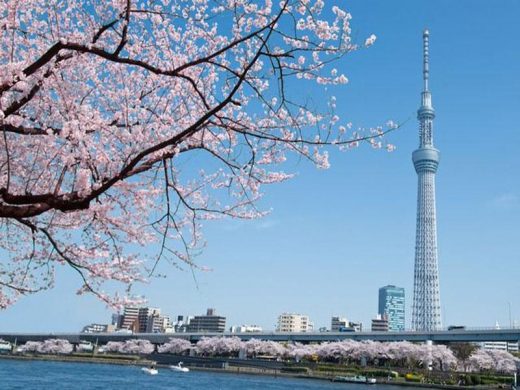Destinacionet turistike të Japonisë, cili sezon është sezoni më i mirë për të udhëtuar në Japoni, cilin muaj për të udhëtuar në Japoni, për të eksploruar, për të përmbledhur 2022 |  Japonia duhet të vizitojë destinacionet një herë në jetë