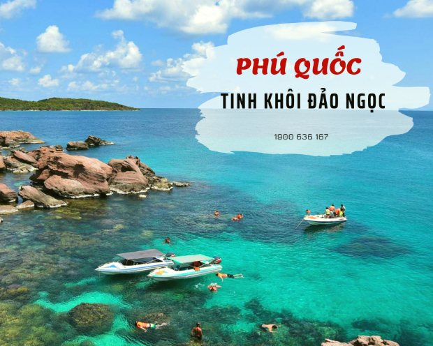 Tour du lịch trong nước từ Hà Nội, khám phá, tổng hợp 7 tour du lịch trong nước từ Hà Nội giá siêu rẻ
