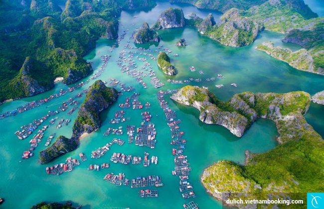 nganh du lich o hai phong, tong quan du lich hai phong, khám phá, giới thiệu đôi nét tổng quan về du lịch hải phòng