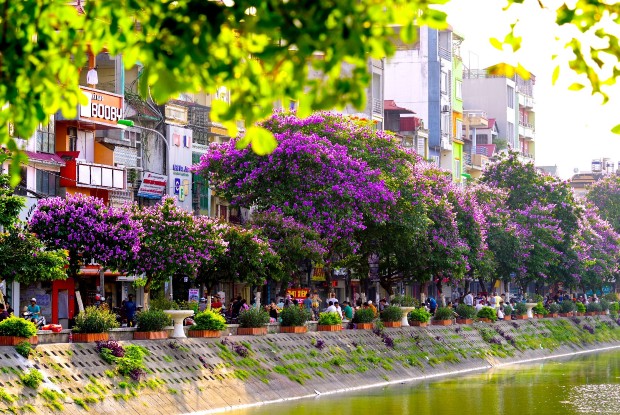 Tháng 5 đi du lịch ở đâu? 11 điểm đến hấp dẫn nhất Việt Nam