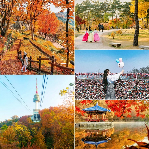 Du lịch Hàn Quốc mùa thu – Cảnh đẹp mùa lá vàng đẹp đến “nao lòng”