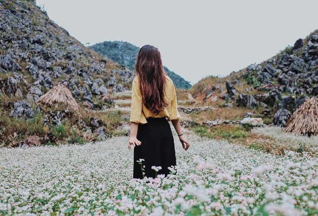 Top 5 địa điểm ngắm hoa tam giác mạch Hà Giang đẹp nhất?