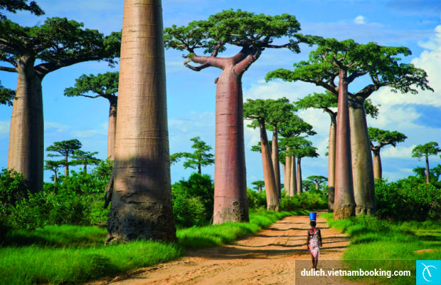 Du lịch Madagascar
