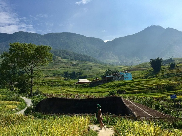 du lịch sapa tháng 1, khám phá, sapa tháng 1 – du lịch mùa tinh khôi tuyết trắng, lãng mạn sắc hoa