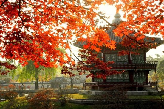 Hàn Quốc – Điểm đến du lịch nước ngoài nổi bật tháng 3