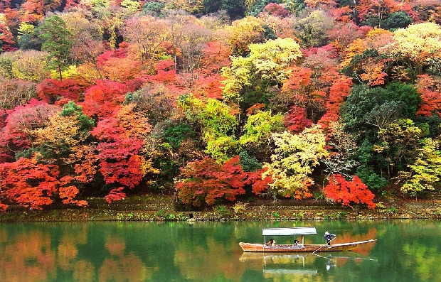 Du lịch Kyoto mùa thu – Siêu lòng trước 7 cảnh đẹp mùa lá đỏ