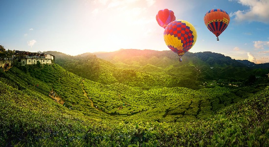Kinh nghiệm du lịch Malaysia : khám phá cao nguyên xanh Cameron