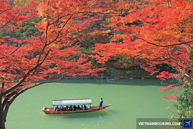 Nghỉ lễ 02-09 thời điểm tuyệt vời ngắm mùa lá đỏ Nhật Bản