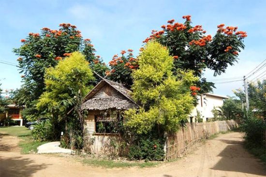 Ghé thăm Pai thị trấn đáng yêu của miền Bắc Thái Lan