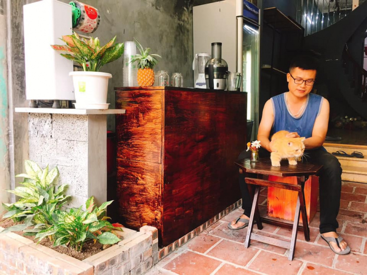 khám phá, trải nghiệm, (hà nội) những quán café thú cưng làm đốn tim giới trẻ