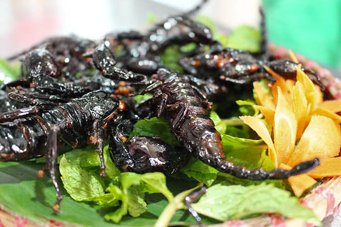 Quán Kiến – thiên đường ẩm thực Tây Bắc và đặc sản côn trùng