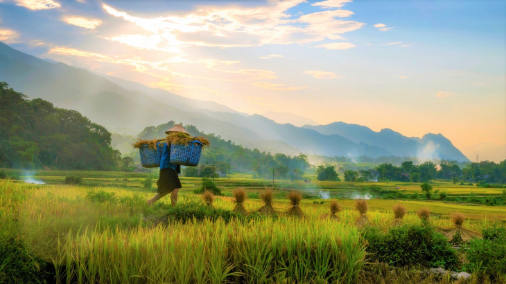 hà giang, khám phá, trải nghiệm, mùa gặt ở phương độ – hà giang