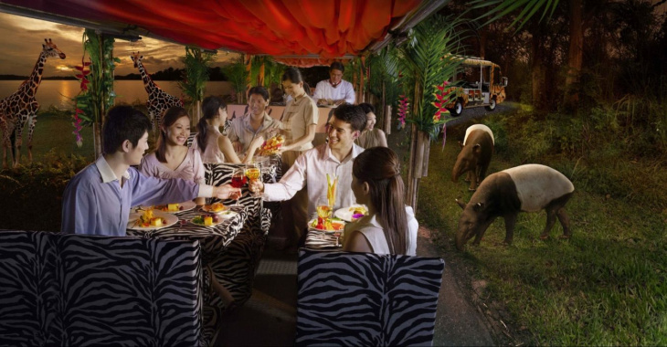khám phá, trải nghiệm, du lịch singapore tự túc: những điều không phải ai cũng biết khi đi singapore night safari