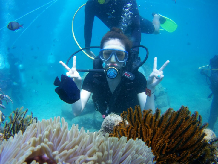 khám phá, trải nghiệm, lặn ngắm san hô phú quốc: trải nghiệm không thể bỏ qua tại đảo ngọc