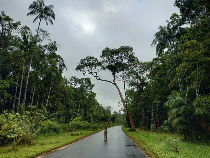 Vườn quốc gia Phú Quốc: Hướng dẫn từ A đến Z cho bạn đi lần đầu