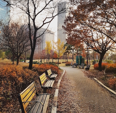 khám phá, trải nghiệm, những công viên sống ảo nhất định phải ghé ở seoul