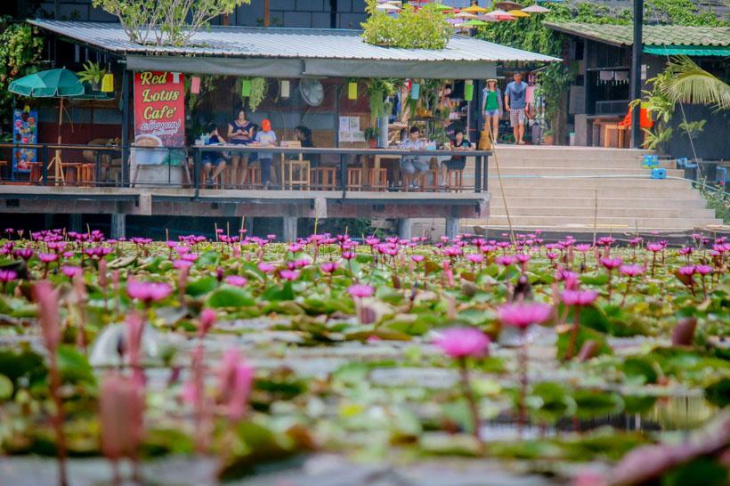 Du lịch Thái Lan tự túc: Khám phá hồ Hoa Súng, chùa hồng Wat Bang Phra từ Bangkok