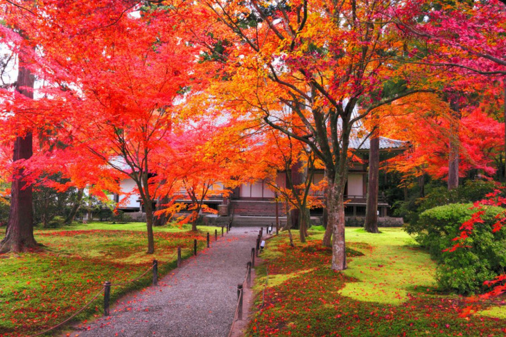khám phá, trải nghiệm, những nơi ngắm lá đỏ không thể bỏ qua khi tự túc du lịch nhật bản vào mùa thu – phần 2: vùng kansai