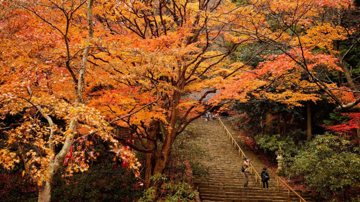 khám phá, trải nghiệm, những nơi ngắm lá đỏ không thể bỏ qua khi tự túc du lịch nhật bản vào mùa thu – phần 2: vùng kansai