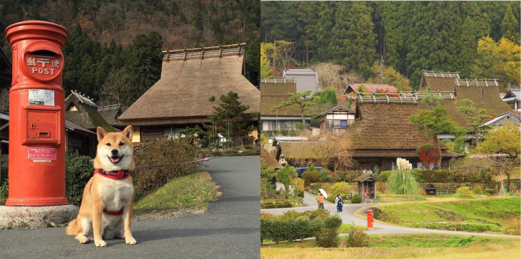 Du lịch Nhật Bản tự túc: Đi Kyoto tham quan làng mái lá Miyama
