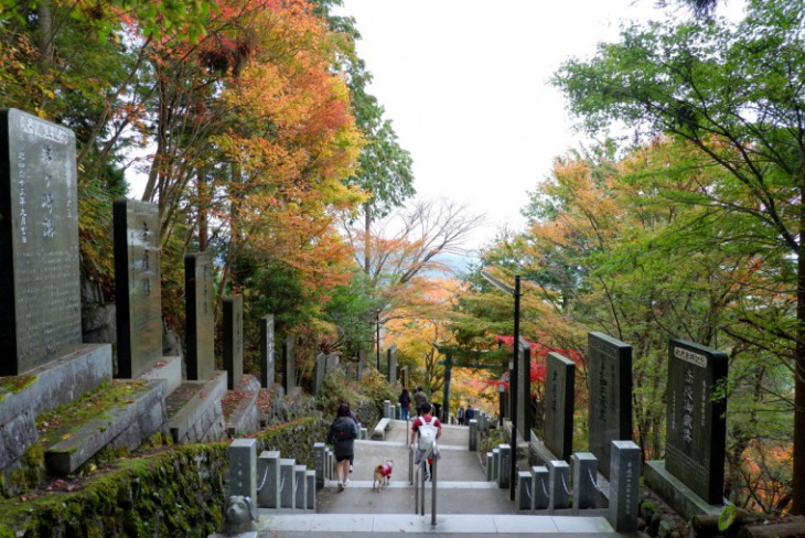 khám phá, trải nghiệm, du lịch nhật bản tự túc: những điểm ngắm lá đỏ ở tokyo siêu đẹp siêu lãng mạn